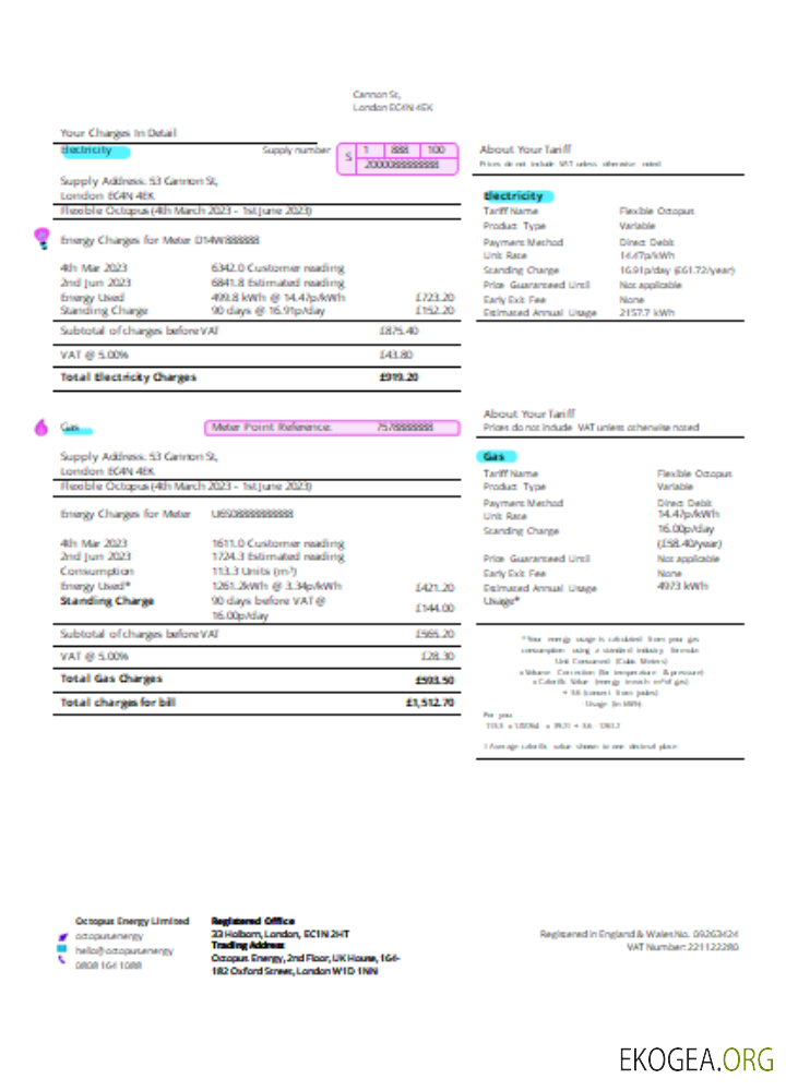 Facture commerciale du service public d'Octopus Energy SCR page 2